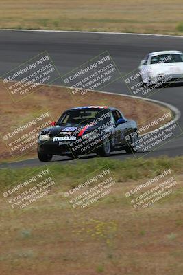 media/May-04-2024-Lucky Dog Racing (Sat) [[d39539b3f3]]/Race Pics/1015am (Turn 2)/